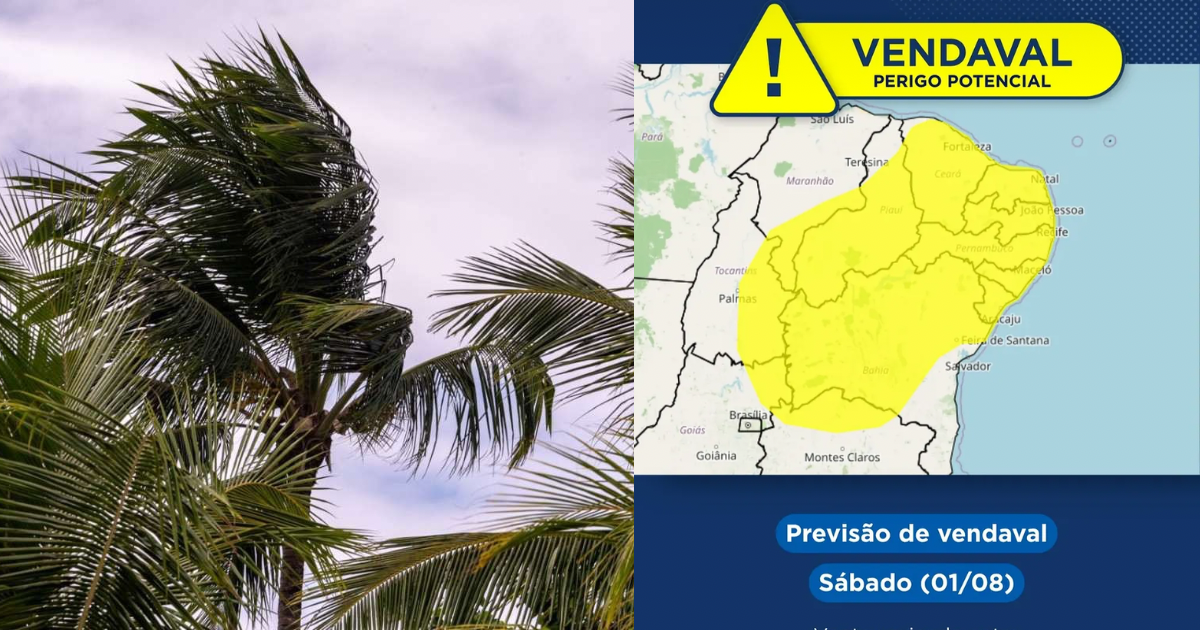 INMET emite alerta de vendaval para todo estado de Pernambuco neste sábado (01)